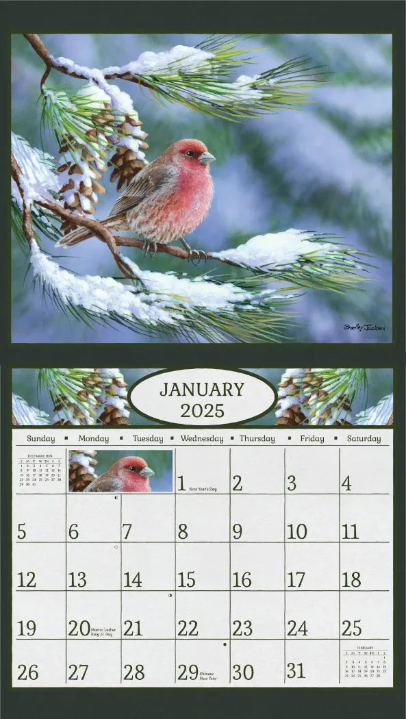 2025 Delafield Wall Calendar - Beauty of Songbirds