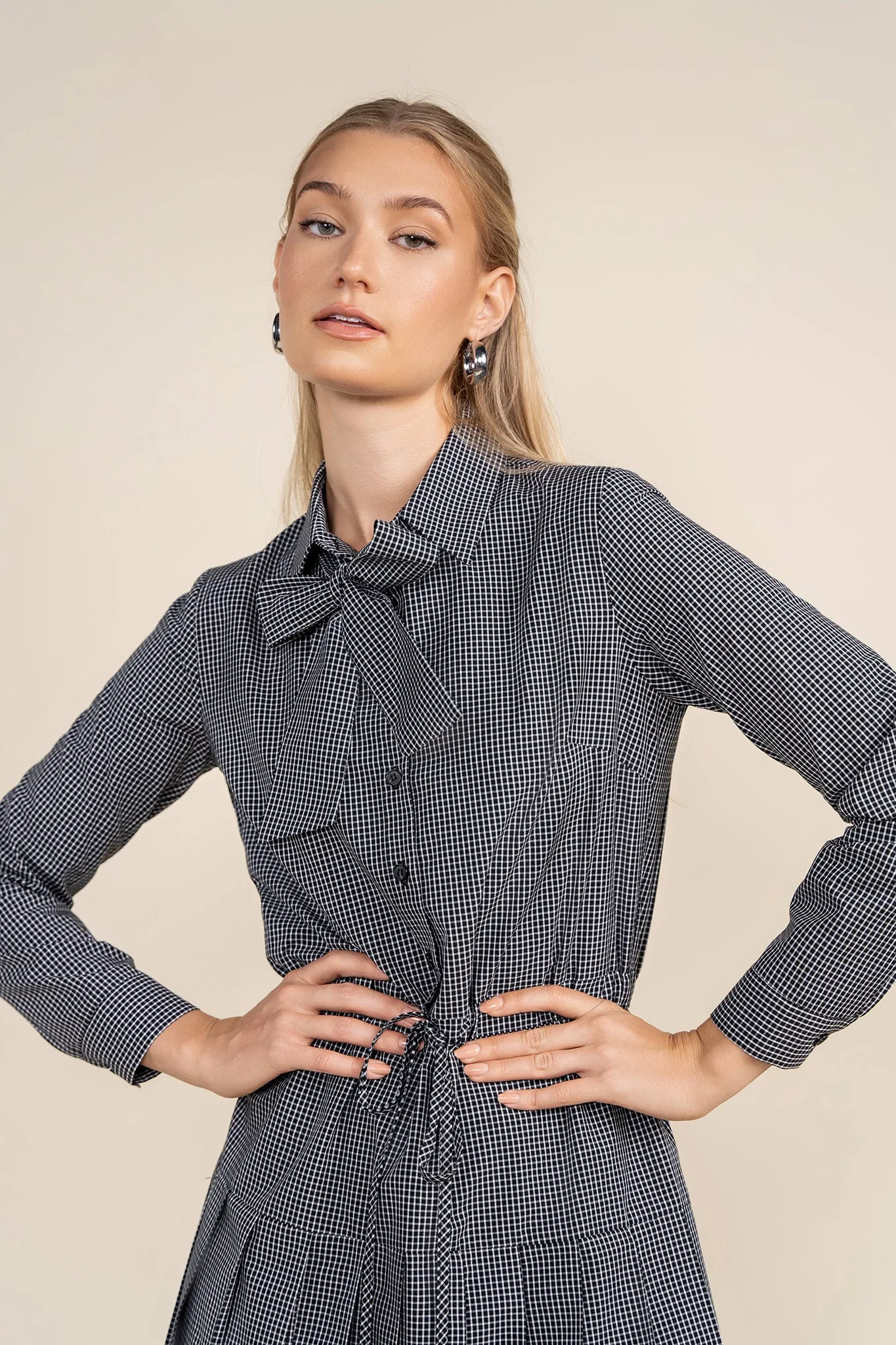 Apparalel Chez Dress in Black Check