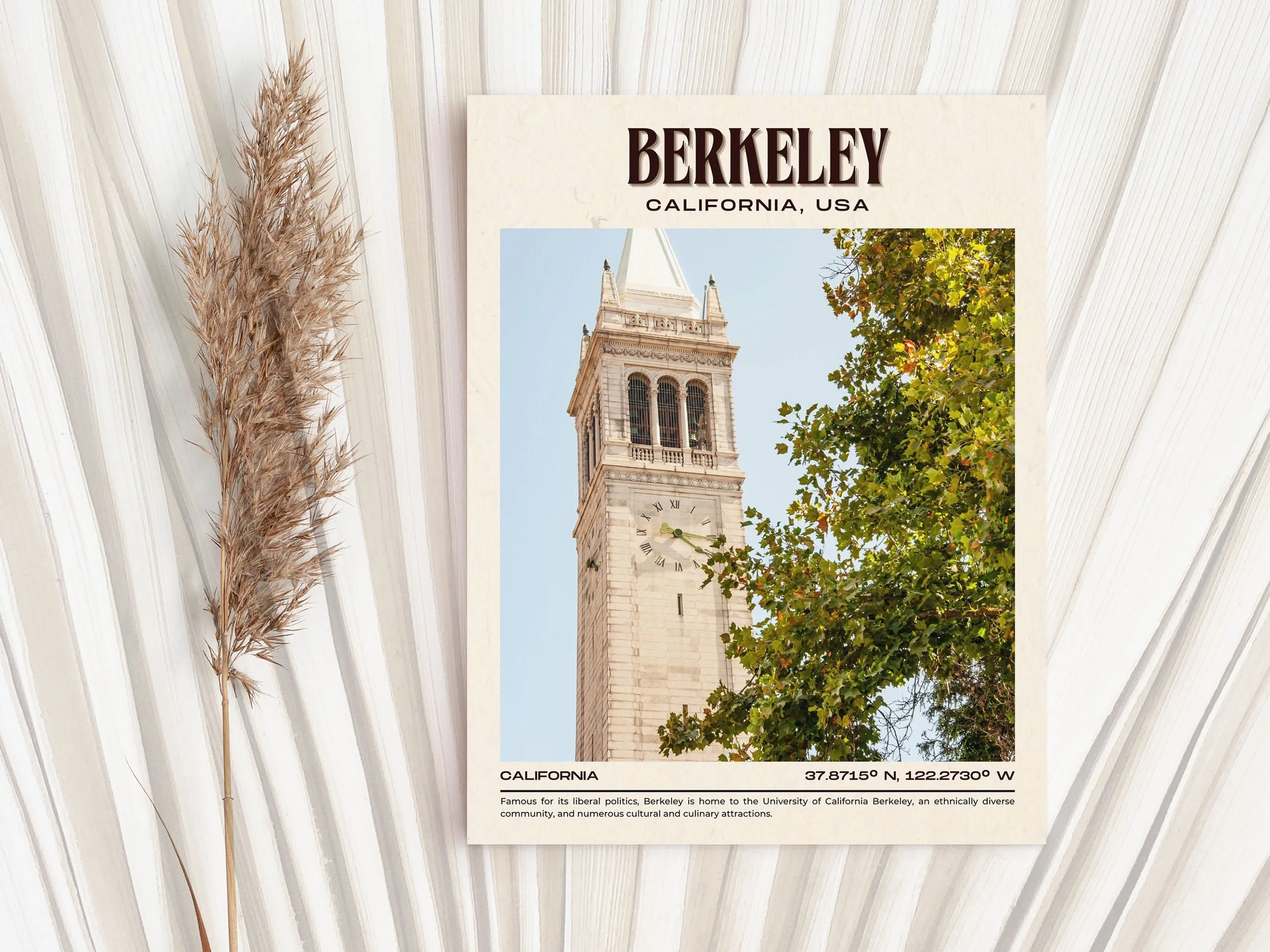 Berkeley Vintage Wall Art, California, USA