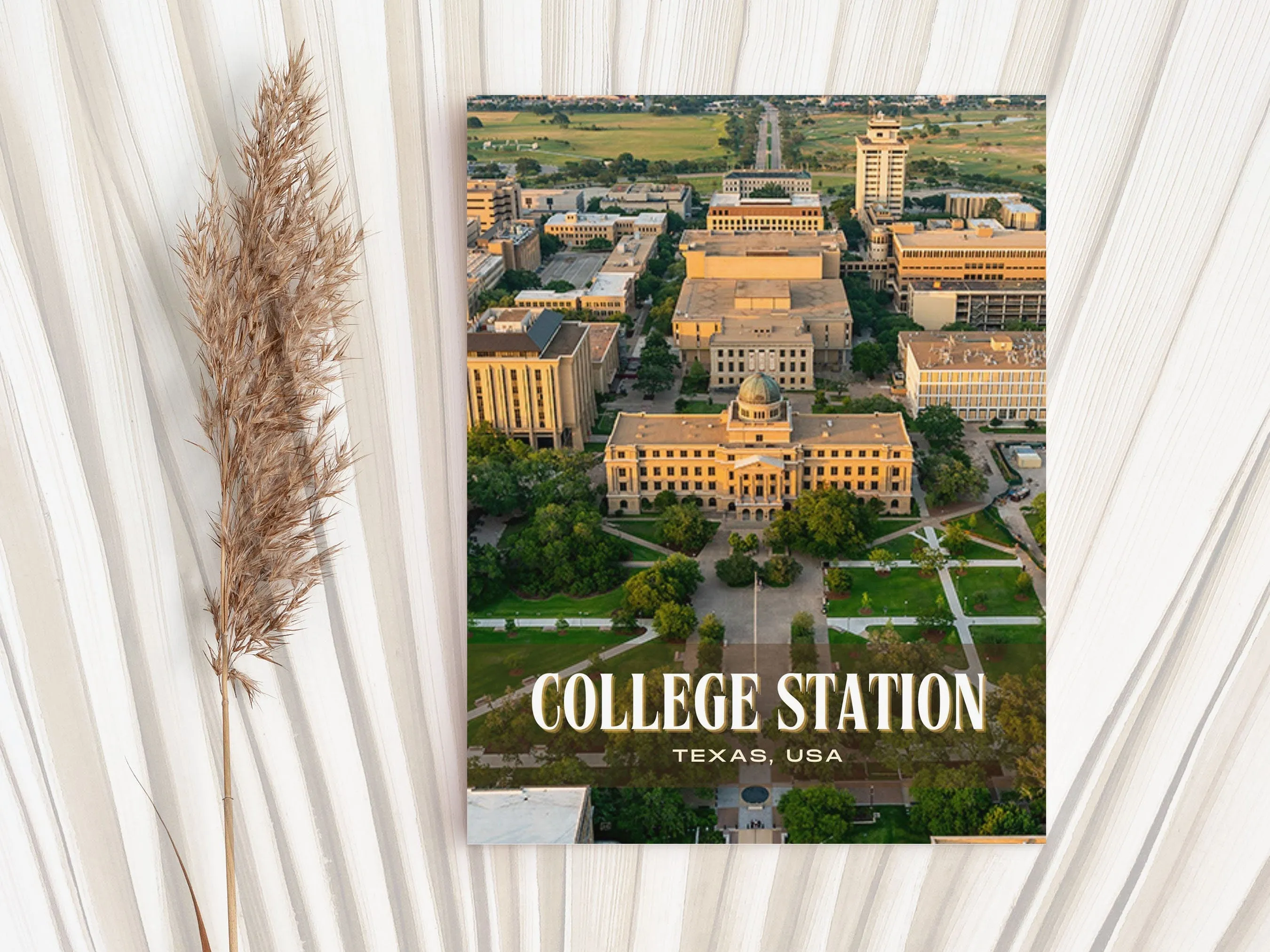 College Station Retro Wall Art, Texas, USA