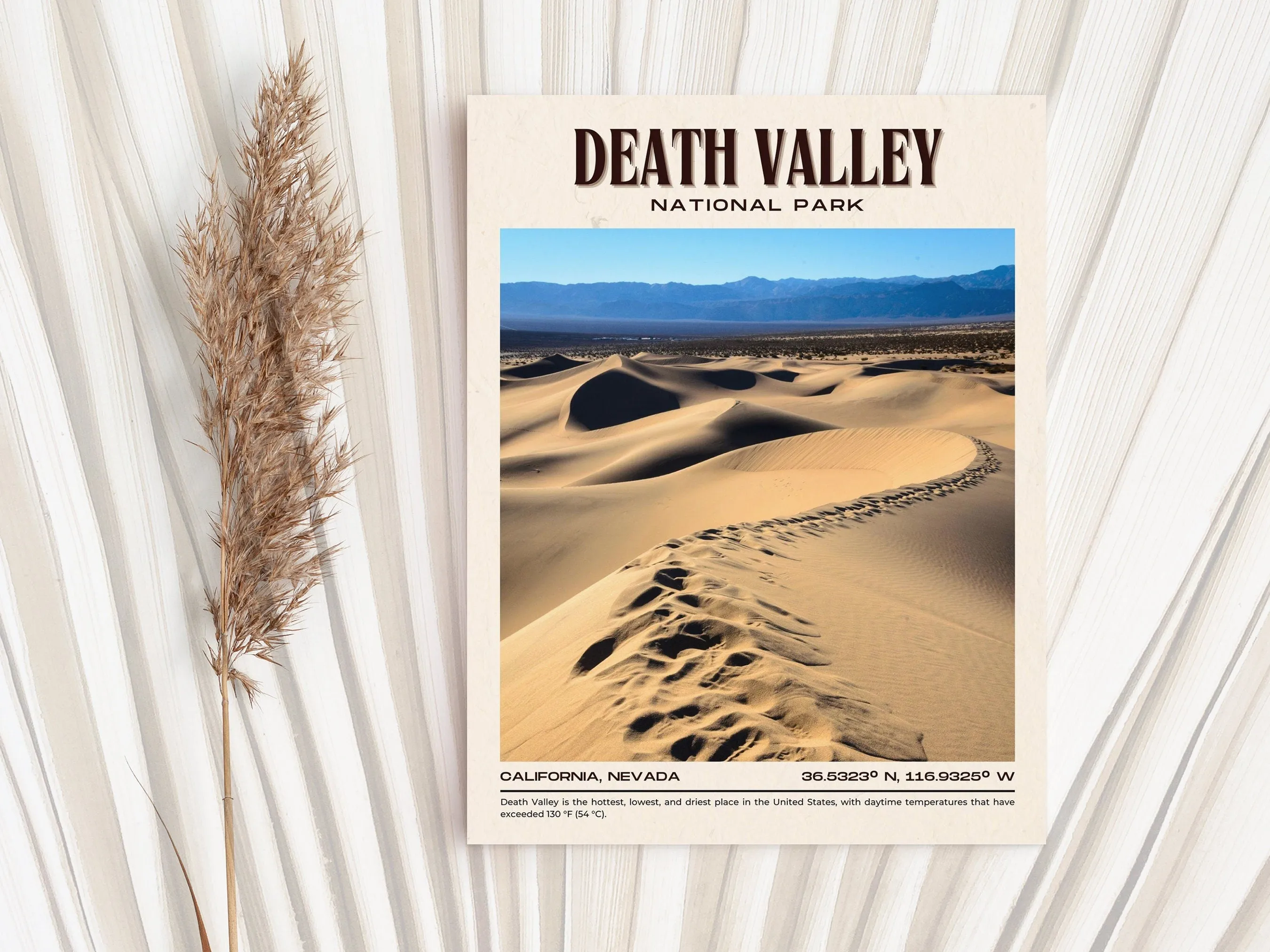 Death Valley National Park Vintage Wall Art, California, USA