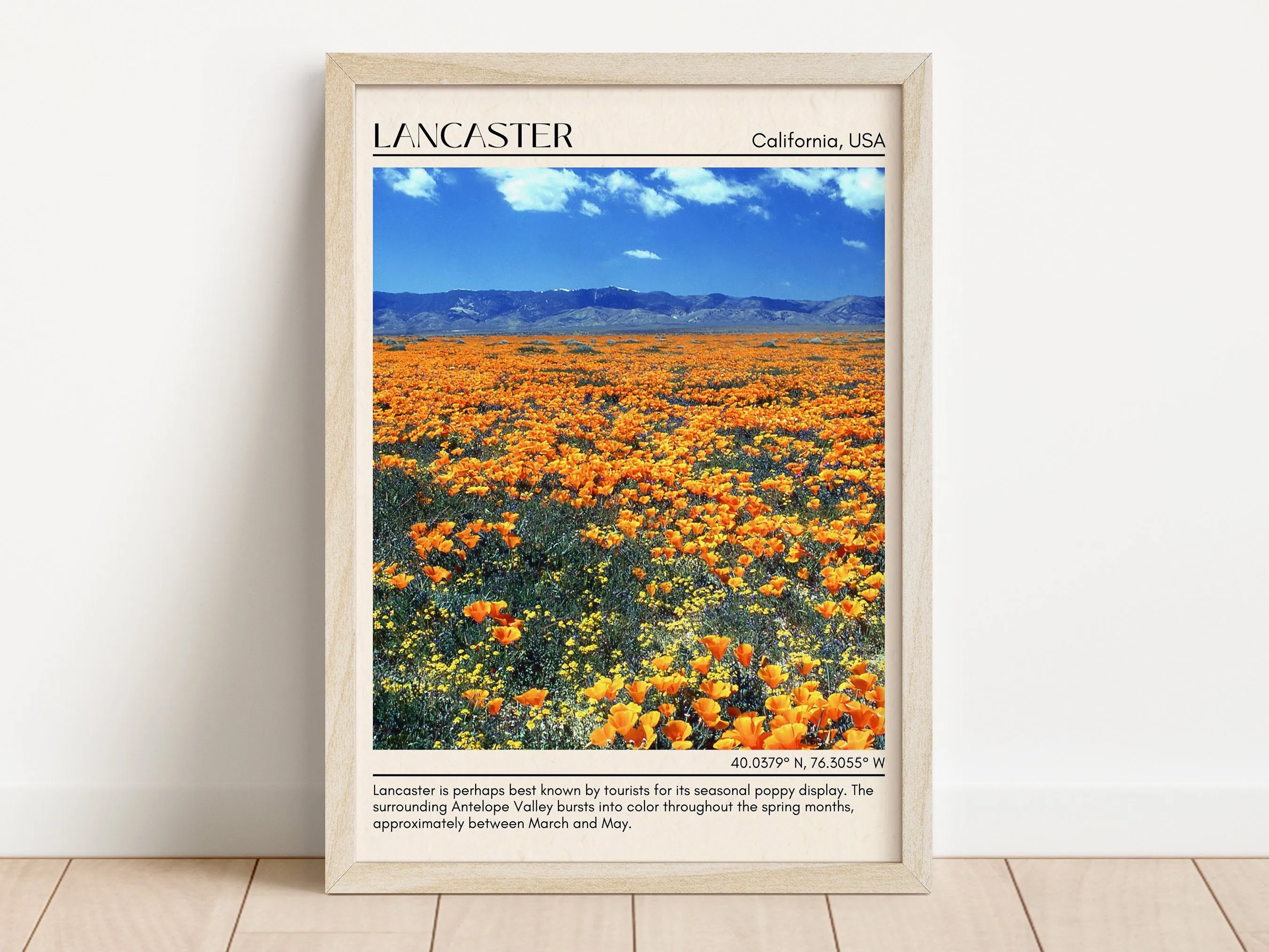 Lancaster Minimal Wall Art, California, USA