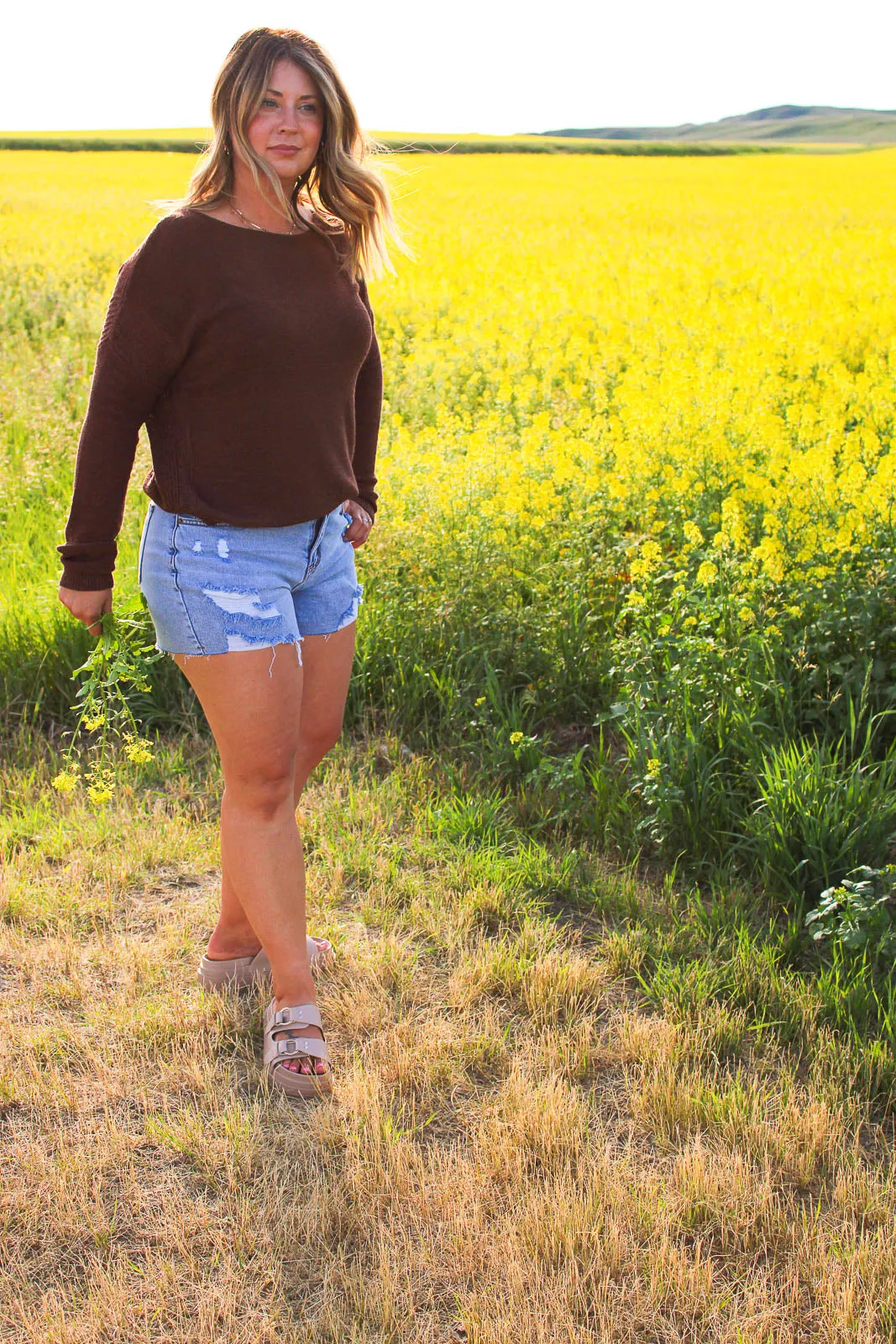 Luna Long Sleeve Light Weight Sweater in Brown