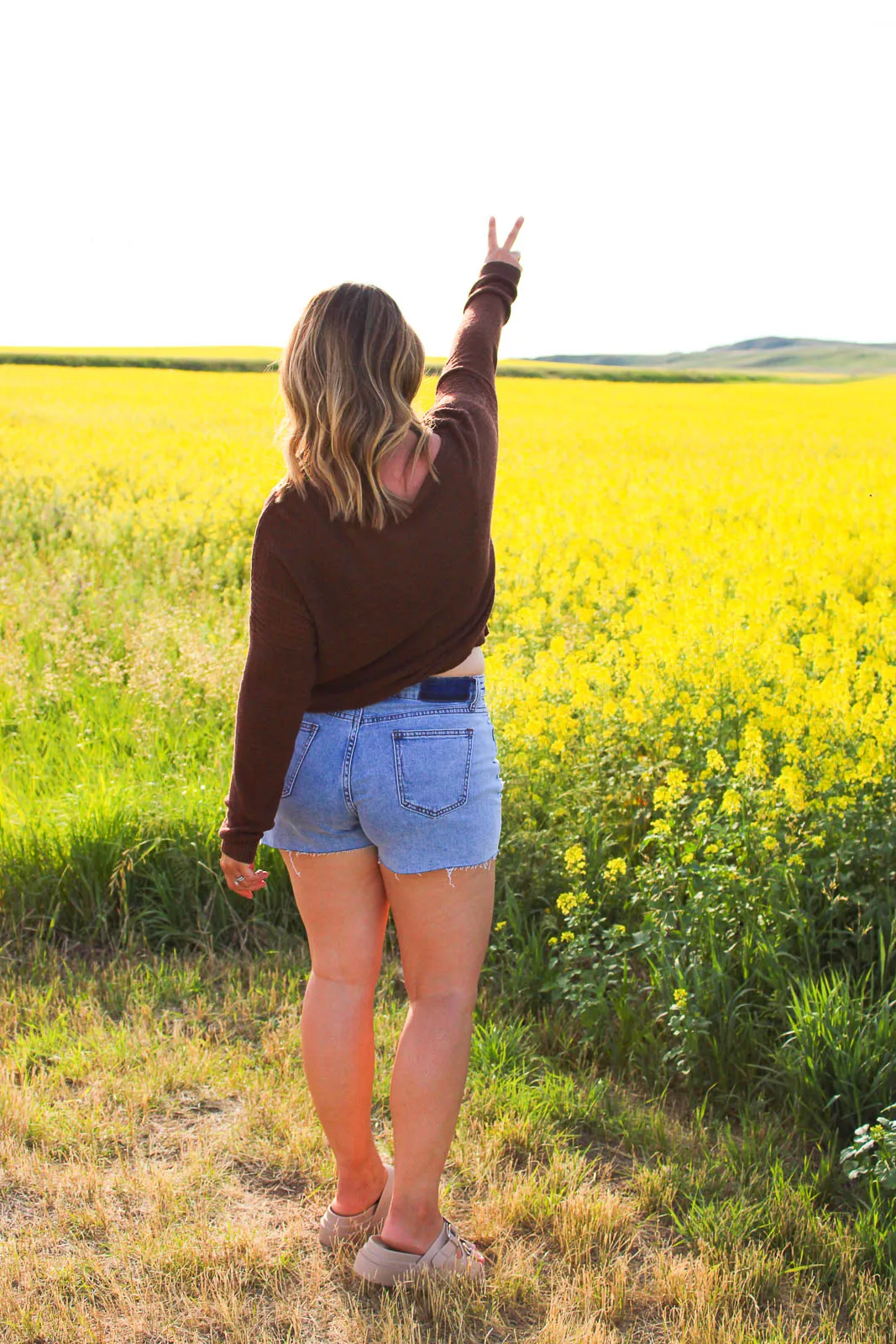 Luna Long Sleeve Light Weight Sweater in Brown
