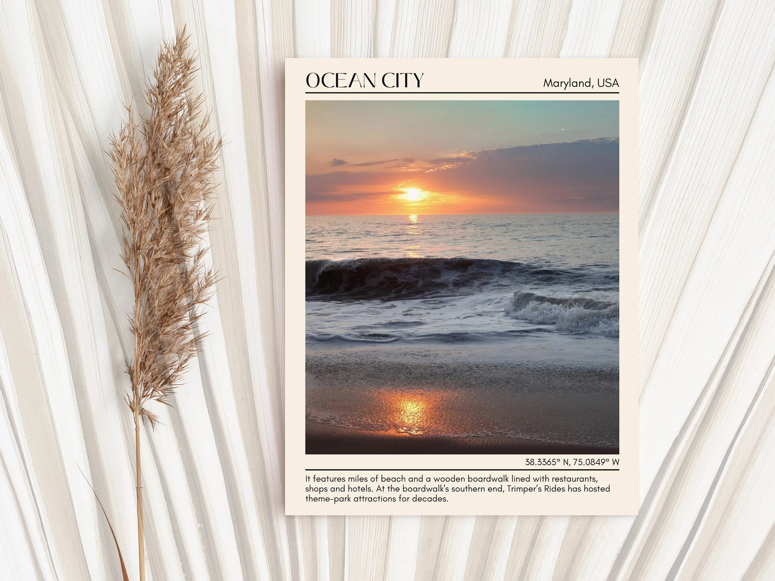 Ocean City Beach Wall Canvas, USA