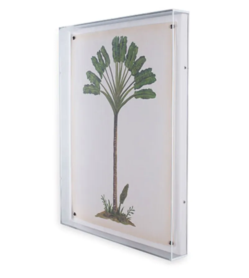 Palm Tree Print II