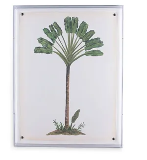 Palm Tree Print II