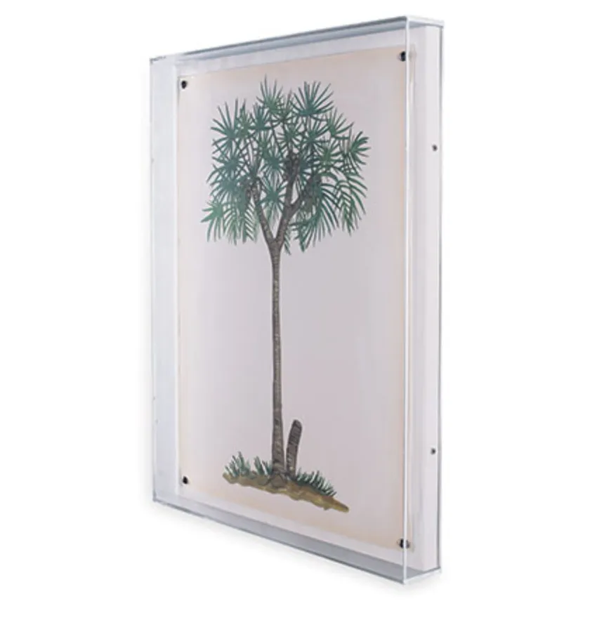 Palm Tree Print III
