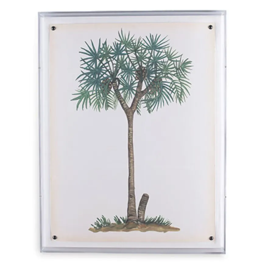 Palm Tree Print III