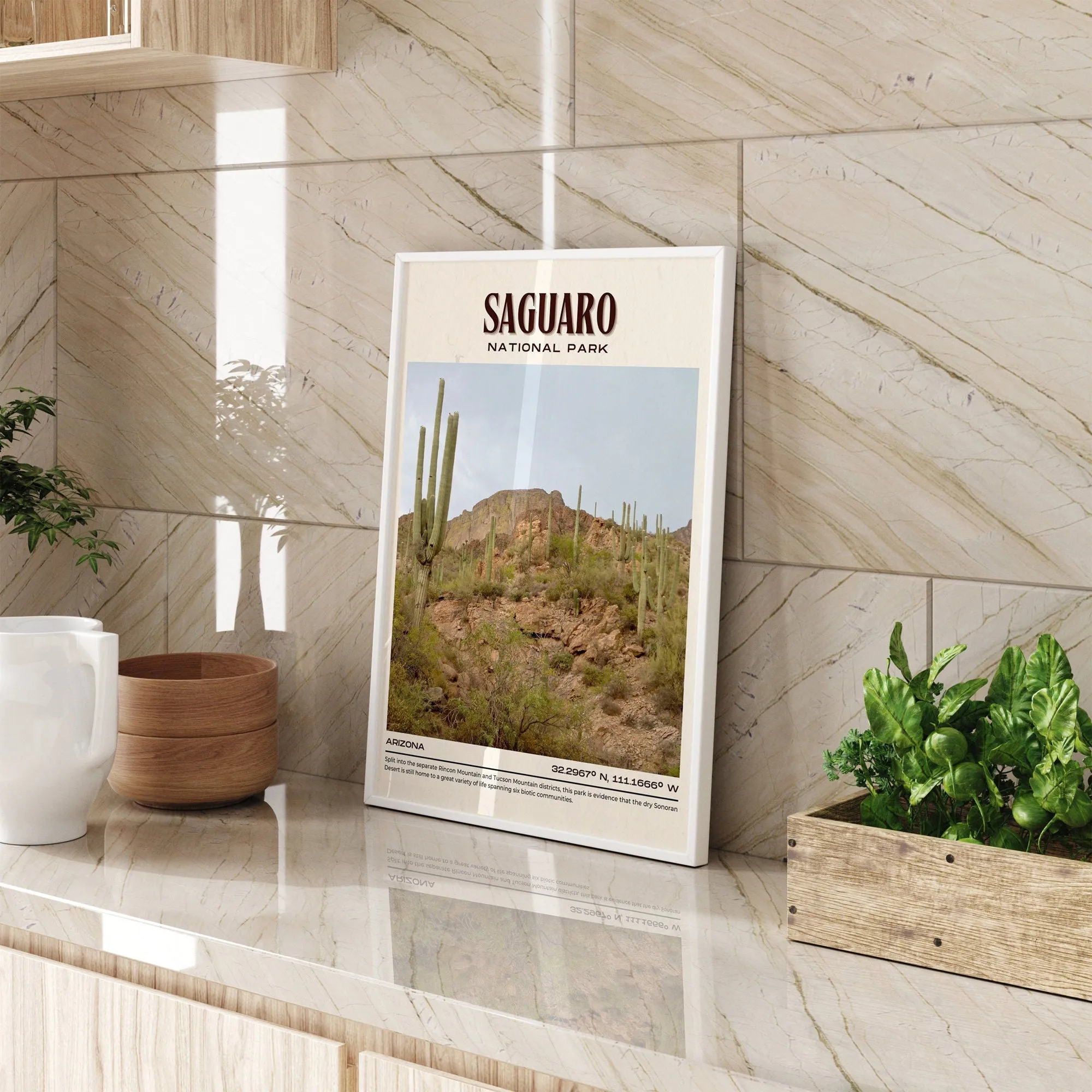 Saguaro National Park Vintage Wall Art, Arizona, USA