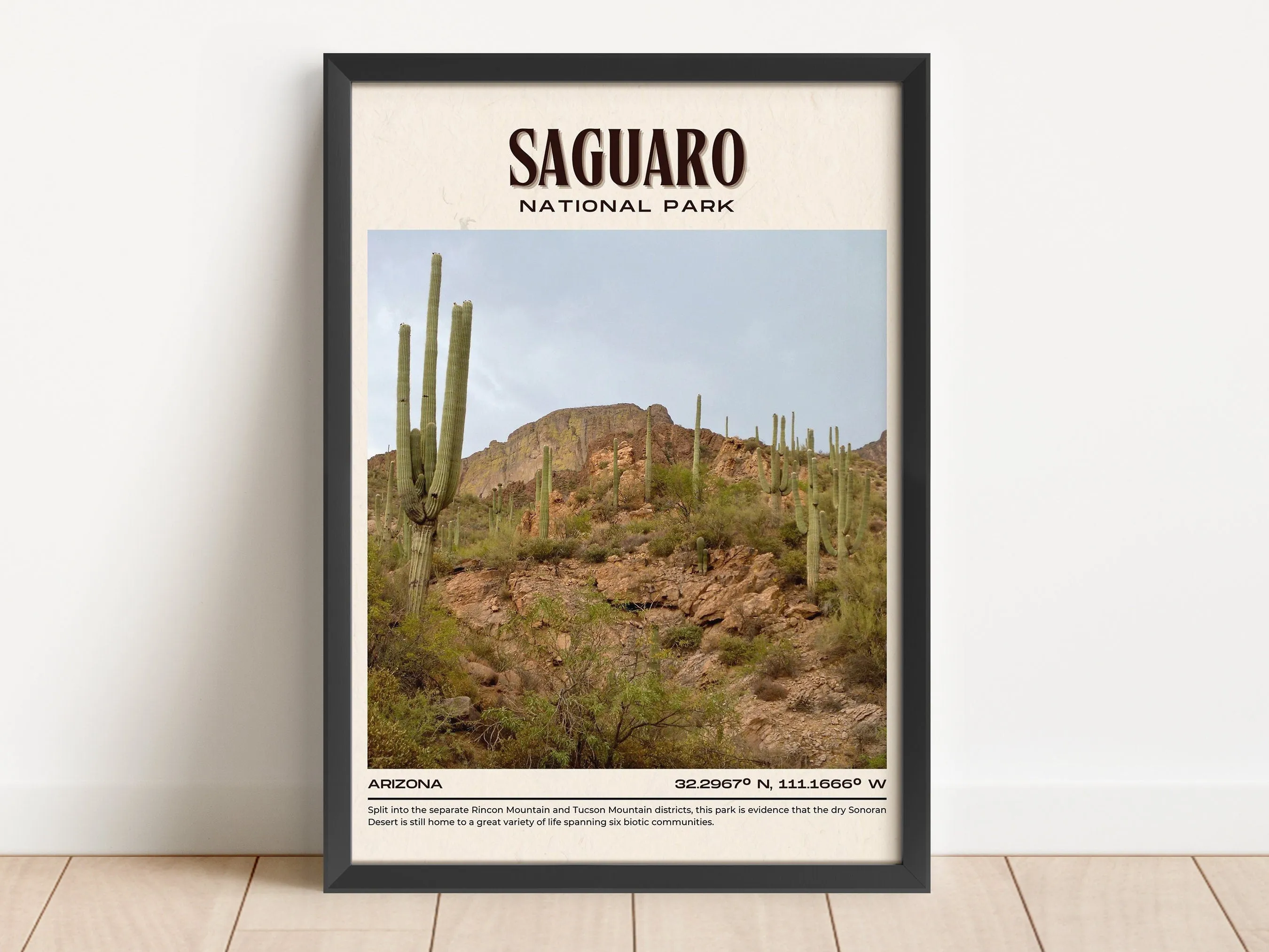 Saguaro National Park Vintage Wall Art, Arizona, USA