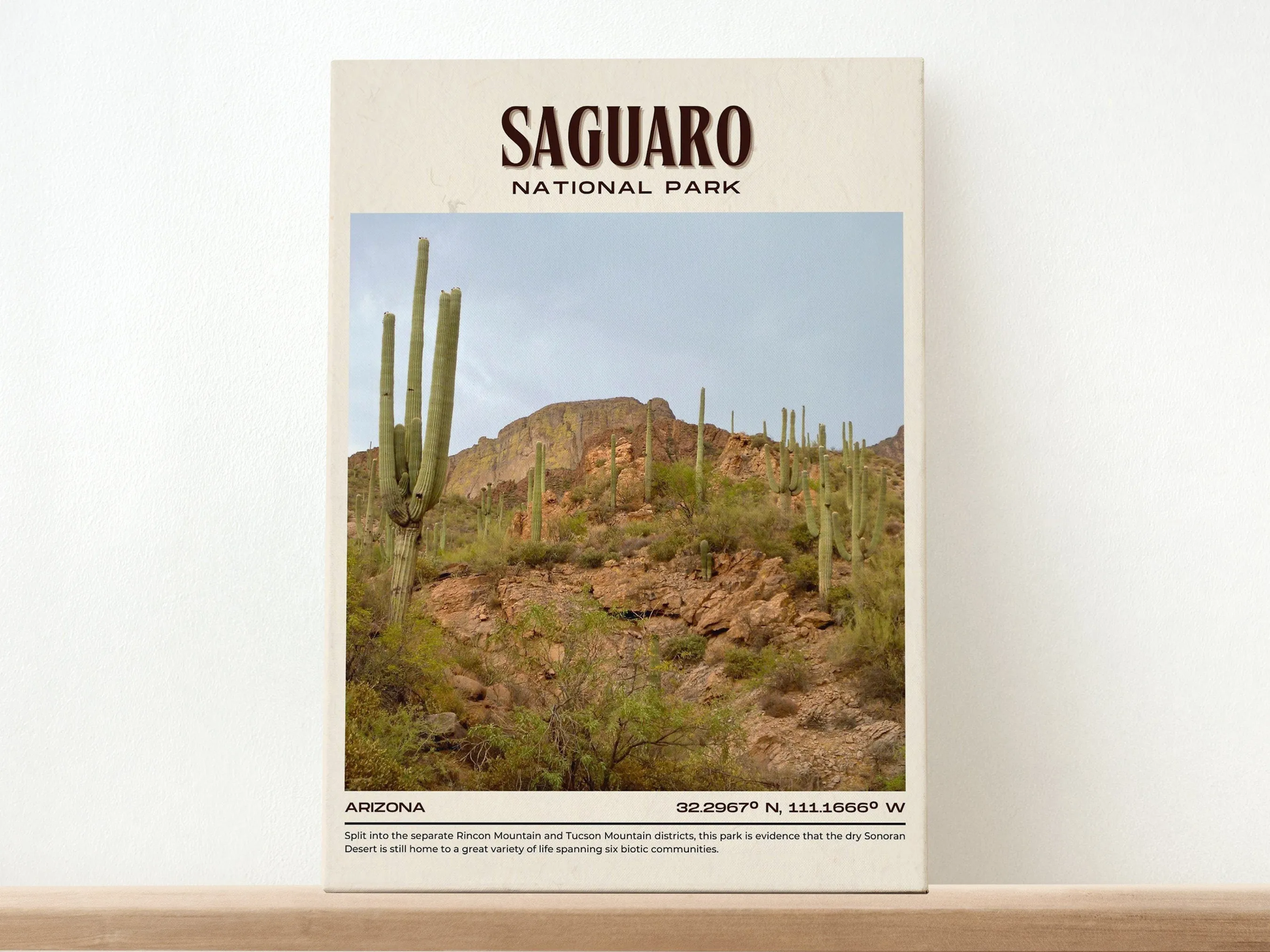 Saguaro National Park Vintage Wall Art, Arizona, USA