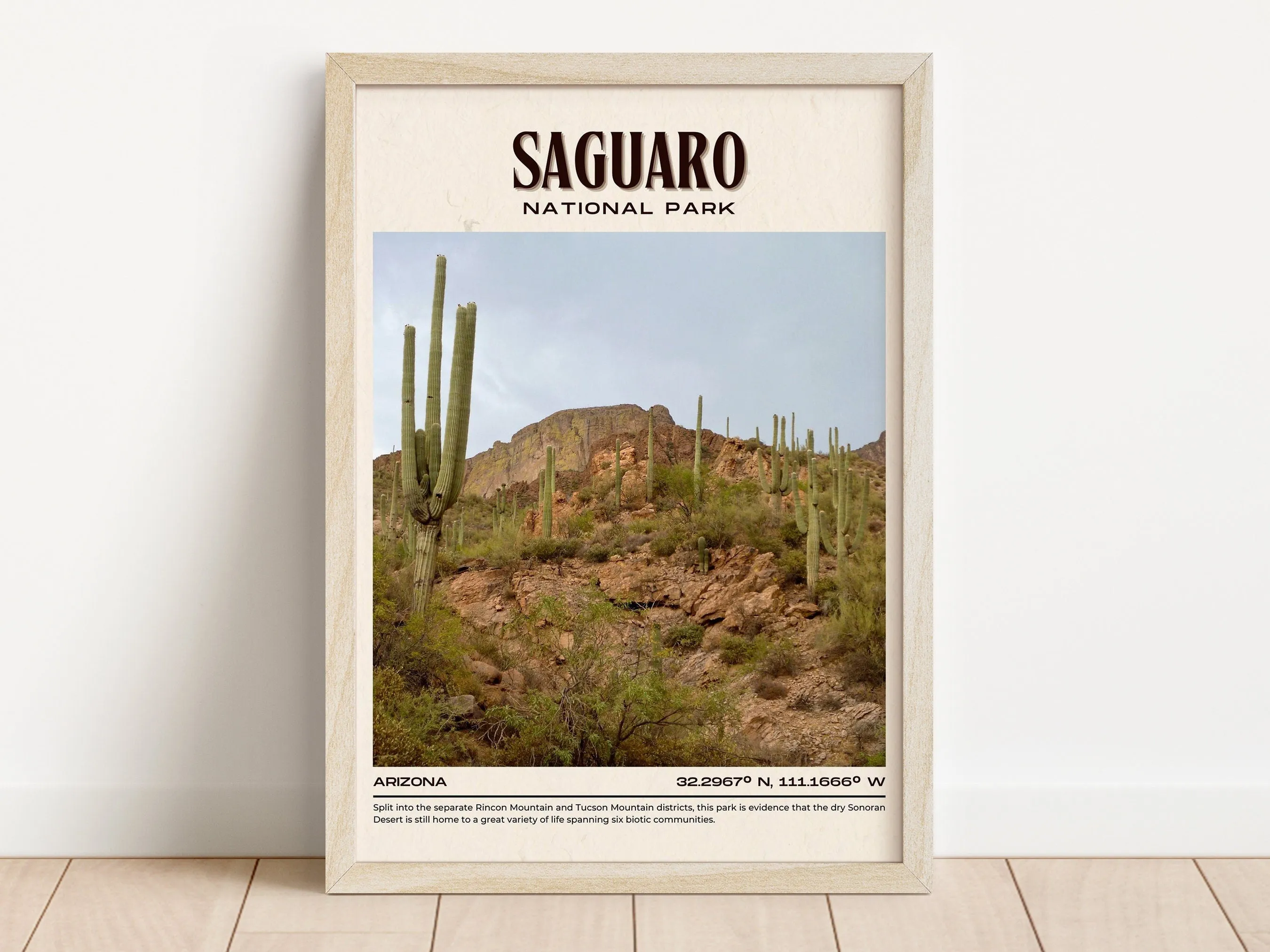 Saguaro National Park Vintage Wall Art, Arizona, USA