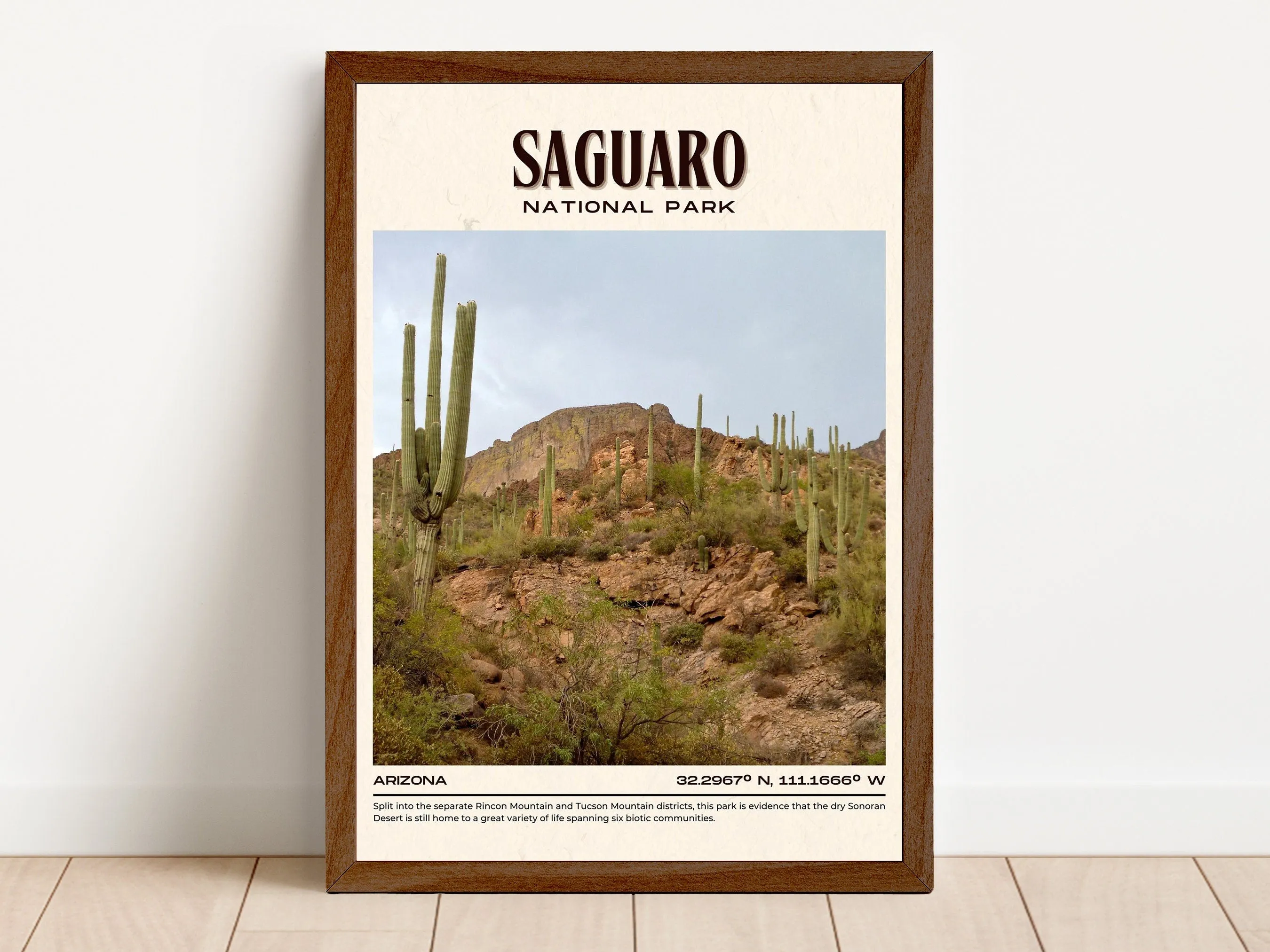 Saguaro National Park Vintage Wall Art, Arizona, USA