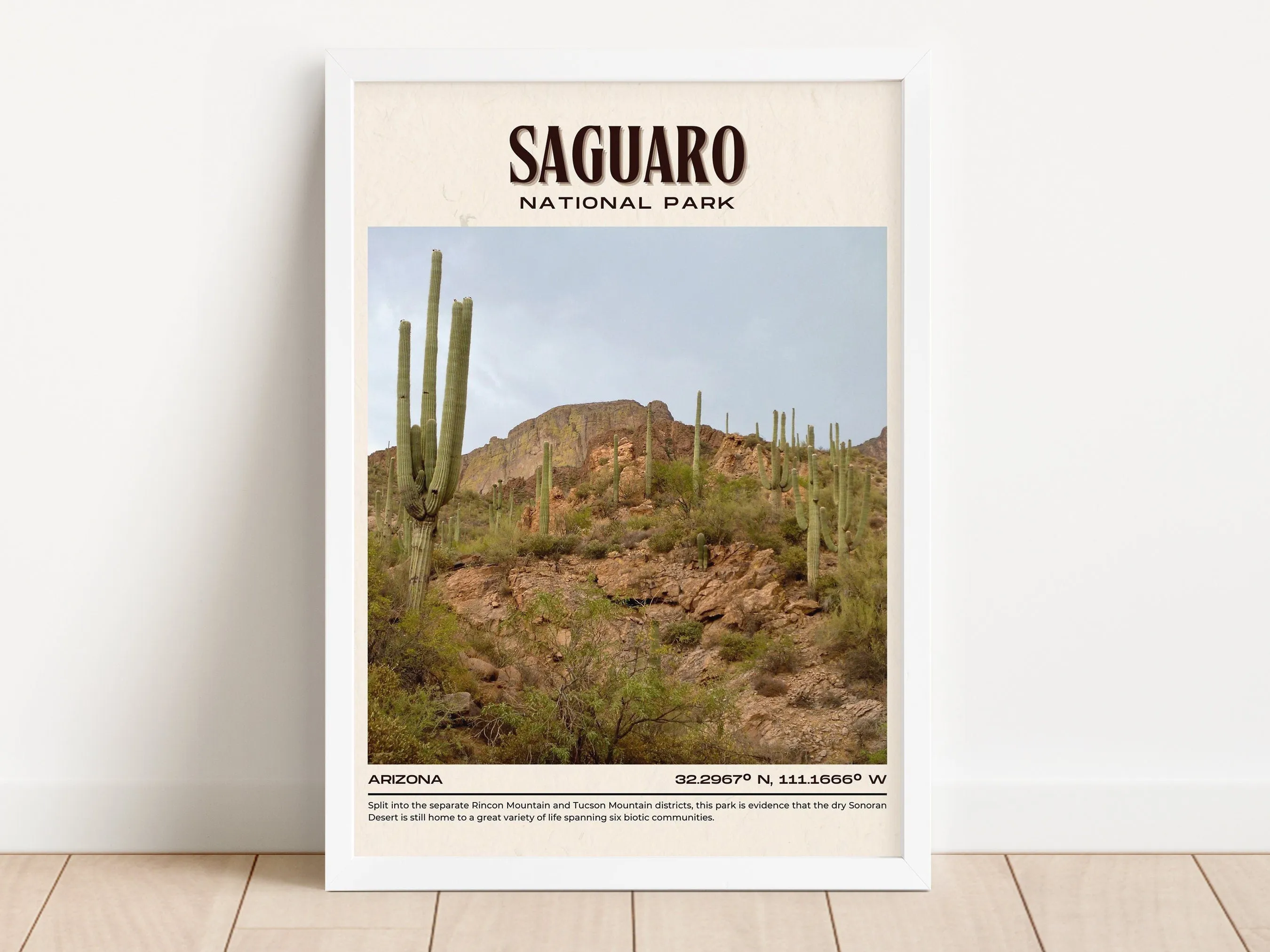 Saguaro National Park Vintage Wall Art, Arizona, USA