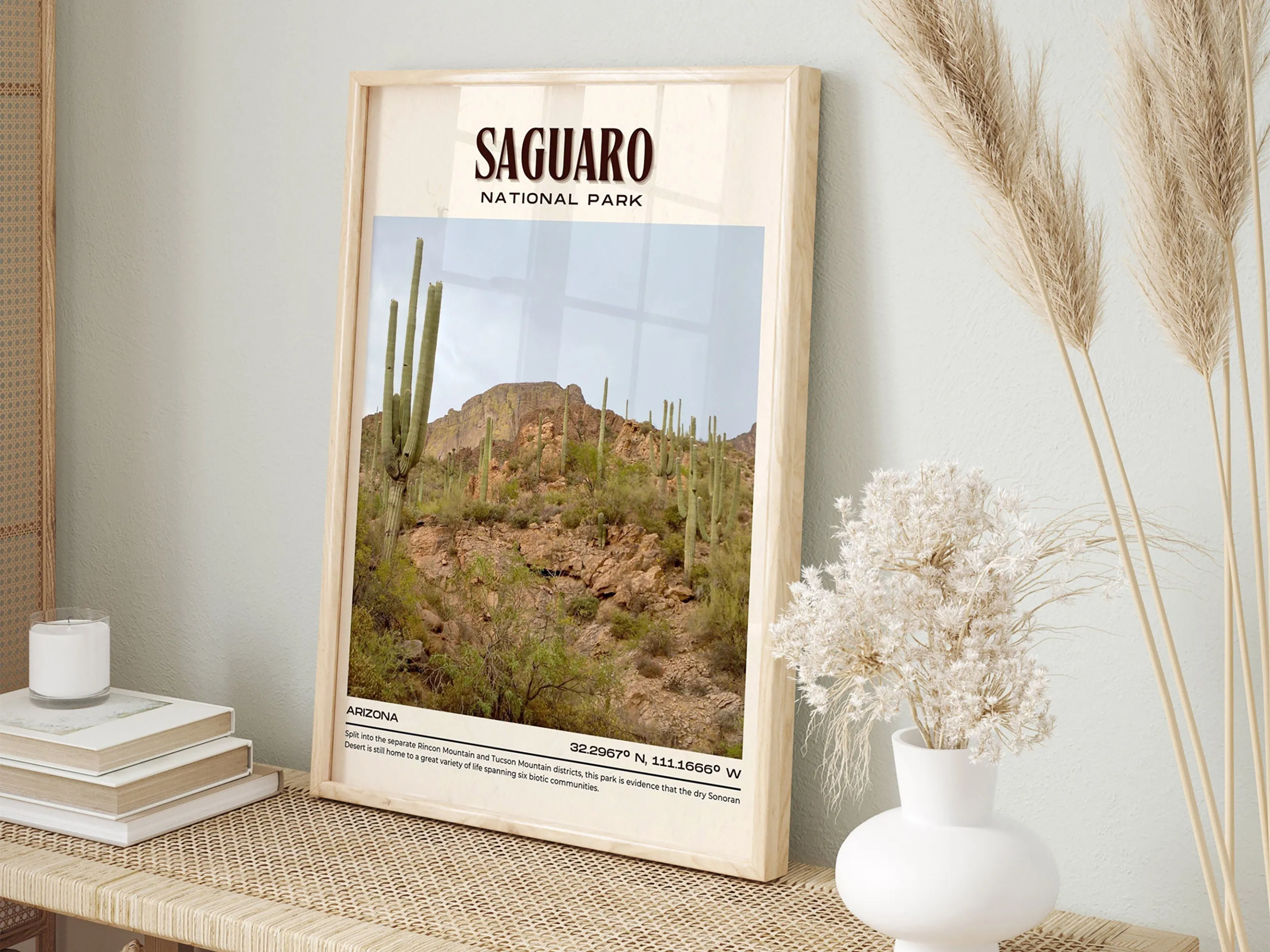 Saguaro National Park Vintage Wall Art, Arizona, USA