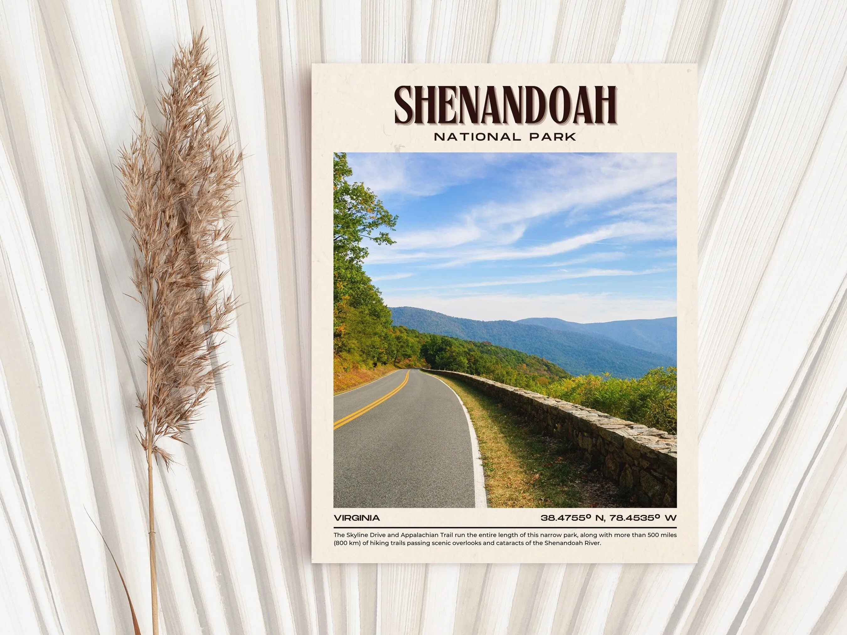 Shenandoah National Park Vintage Wall Art, Virginia, USA
