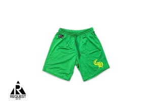 Sports Mesh Varsity Shorts “Green/Yellow”