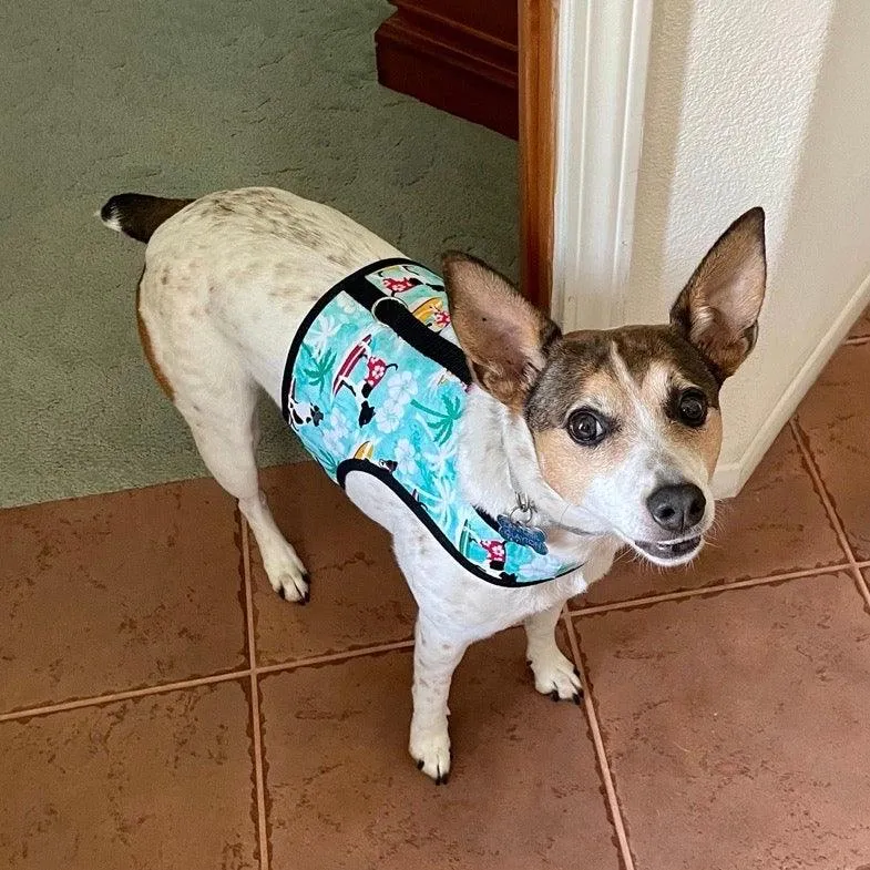 Surf Dog Print Dog Vest Harness