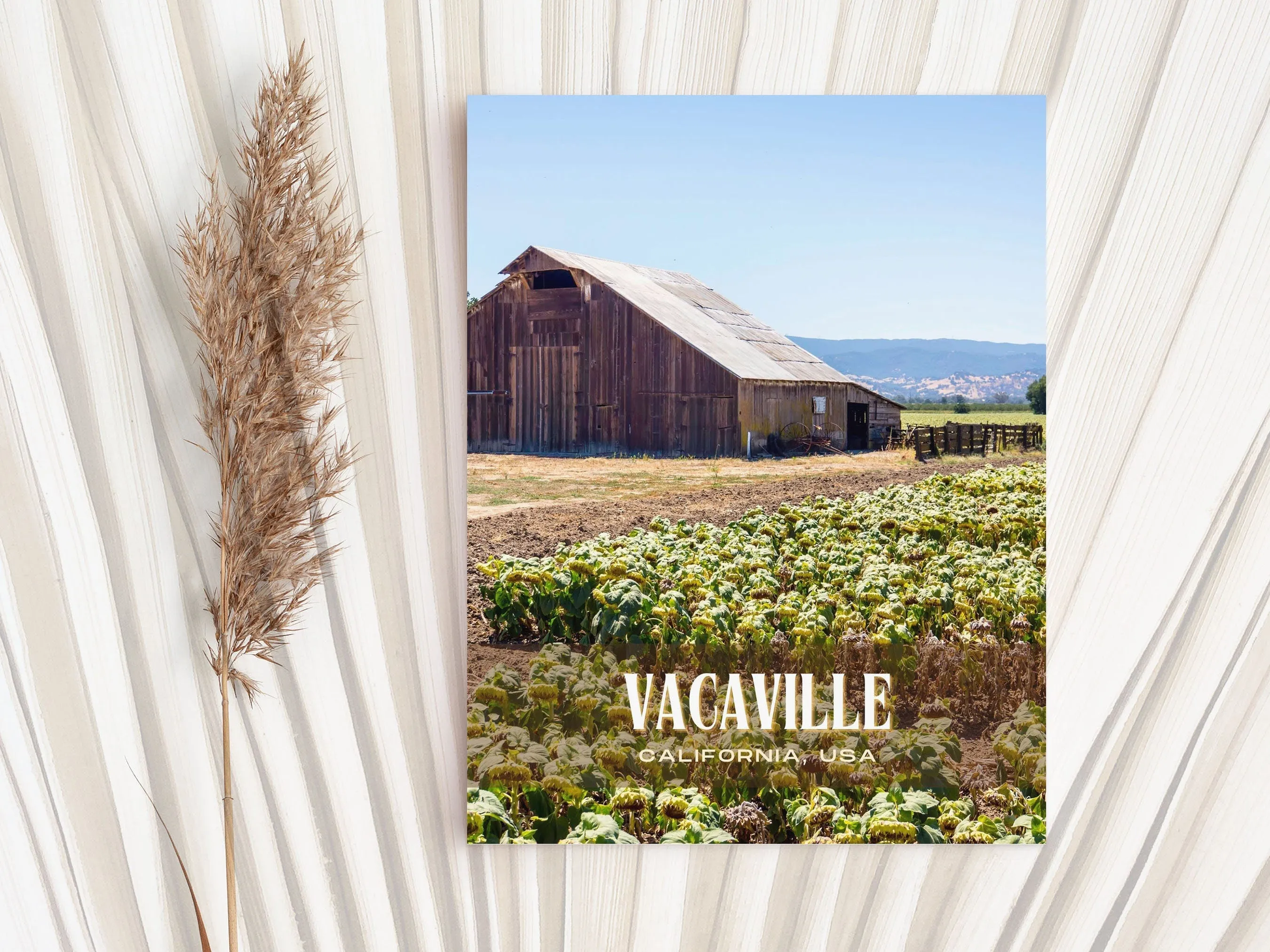 Vacaville Retro Wall Art, California, USA