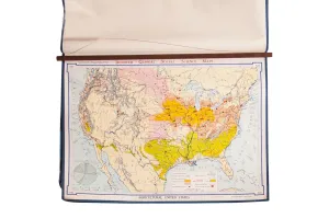 Vintage Denoyer Geppert Map